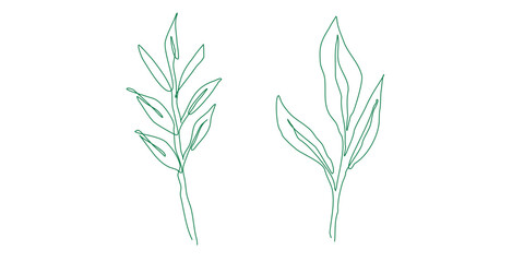 continuous line drawing minimalist botanical sketch. floral element vector illustration, trendy smal