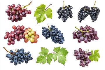 Poster - Grapes and Leaves on White Background