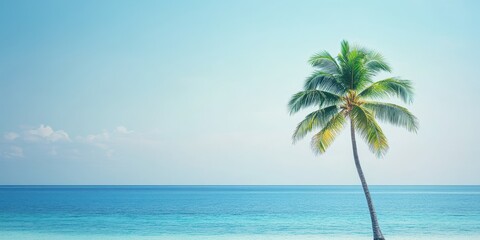 Wall Mural - a serene beach scene featuring a lone palm tree against a clear blue sky and tranquil ocean waves, p