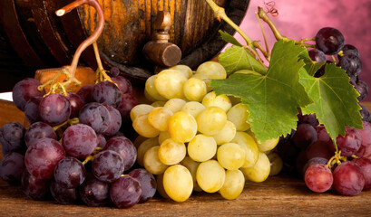 Freshly picked red and white grapes resting near oak barrel