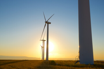 Wind turbine generators for renewable electricity production