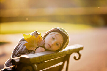 Canvas Print - Little toddler child, boy, playing with airplane and knitted teddy bear in autumn park