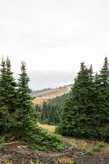 A stunning view of mountains on a rainy day from atop Hurricane Ridge.