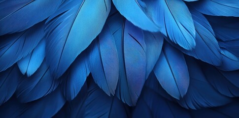 Sticker - background macro feathers barely Blue pantone color