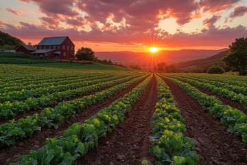 Poster - Farmland Sunset