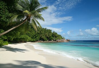 Tropical Beach Paradise.