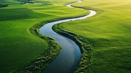 Wall Mural - Overhead perspective of verdant fields with winding waterway, reflecting nature's tranquility and lush landscapes.