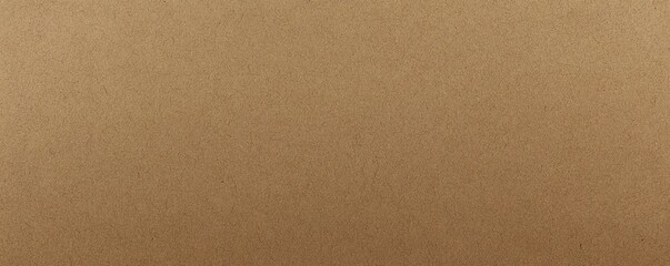 Close-up of a light brown cardboard texture.