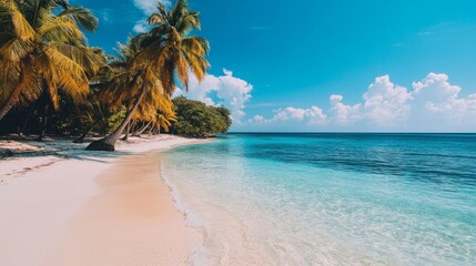 Poster - A beautiful beach with palm trees and a clear blue ocean