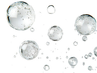 Wall Mural - Water Bubbles Float on Transparent Background with Subtle Reflections