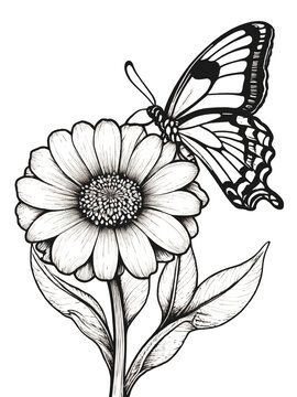 Flower coloring page