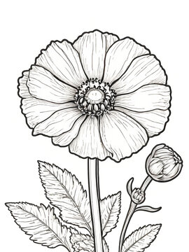 Flower coloring page
