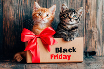 two cute cats sitting on a black friday box