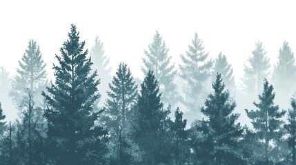 Poster - Coniferous forest, seamless border, isolated on white background 