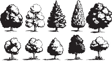 Silhouette tree set. Side view, set of graphic trees elements outline symbol for architecture and landscape design drawing. Hand drawn vector illustration