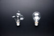 © patpitchaya - A broken light bulb versus a glowing light bulb, fail and success idea, useless and useful, experience, or idea development concept