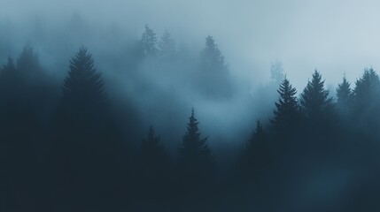 Poster - Misty Forest Landscape with Silhouetted Trees