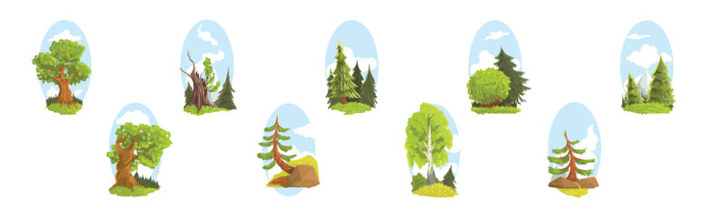 Poster - Summer Tree Nature Landscape with Green Forest Vector Set