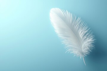 Poster - A delicate white feather rests gently on a soft blue background, symbolizing purity, lightness, and tranquility in an elegant composition.