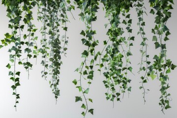 Aufkleber - A decorative arrangement of green plants suspended from a ceiling
