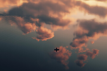 Wall Mural - Evening landscape with reflected clouds and a fisherman's boat.