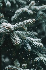 Aufkleber - Close-up shot of a pine tree branch covered in snow, winter landscape