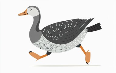 Poster - A playful gray duck joyfully running across a bright white background, showcasing its vibrant feathers and lively spirit during a sunny afternoon