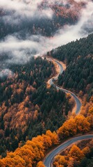 Poster - A winding road with trees in the background