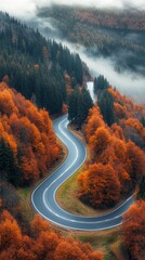 Poster - A winding road with trees in the background
