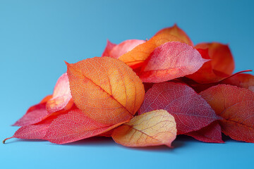 Poster - A pile of freshly raked autumn leaves, isolated on a pastel backdrop,