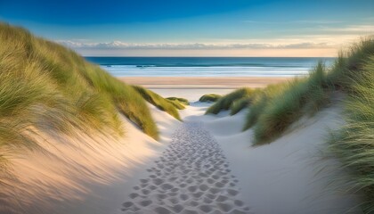 Wall Mural - Wandering through dunes to the beach