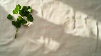 Poster - a single green sprig of clover lies gently on a linen tablecloth, enhanced by soft natural light cas