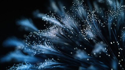 Poster - Mesmerizing display of glowing optical fibers, resembling a field of ethereal grass illuminated by moonlight