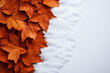 © SnapVault - A diagonal split between a bed of vivid orange autumn leaves and pristine white snow.The sharp contrast between the two halves highlights the transition between autumn and winter,seasons in minimalist