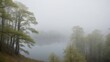© DEER FLUFFY - A foggy forest with a lake in the background.