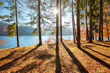 Aufkleber - The sun shines through the trees on the shore of the lake. Carpathian mountains, Ukraine, Europe.