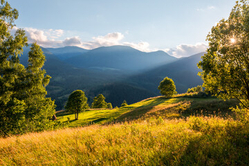 Fototapete - The sun's rays illuminate the green slopes in the mountainous area. Carpathian mountains, Ukraine, Europe.