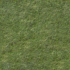 seamless texture of the grass surface