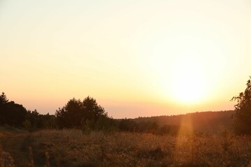 Wall Mural - beautiful view of sky over meadow at sunrise in morning
