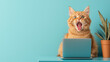 © Premium_art - A ginger cat with wide eyes and an open mouth sits in front of a laptop computer, looking surprised.