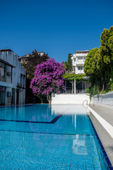 Poster - A serene pool surrounded by vibrant purple flowers and greenery on a sunny day in a tranquil residential area