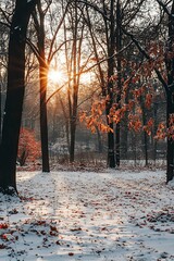 Poster - Winter sunset through trees with snow on the ground