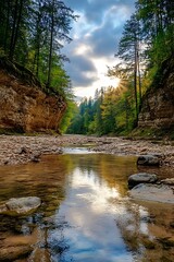 Sticker - Sun rays through trees reflecting in river stream in a forest canyon