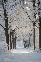 Poster - Snowy Forest Path,  Winter Wonderland Landscape Photography