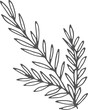 © ONYXprj - Rosemary branch doodle. Food herb drawn icon