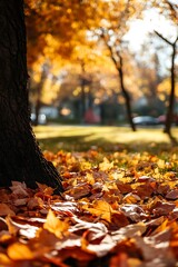 Poster - Autumn leaves on the ground, tree trunk in focus, warm colors, nature, fall, season change