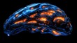 © prachid - Brain of a predator with glowing areas for hunting instincts, Predator Brain System, instinct and survival adaptation