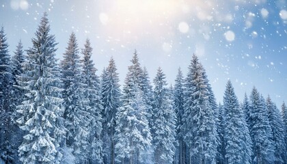 Snowy forest with blue sky