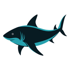 Wall Mural - Sea bull blue shark actual colour vector illustration on the white background, black and white colour shark