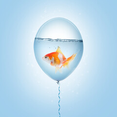 Balloon with water and goldfish against light blue background